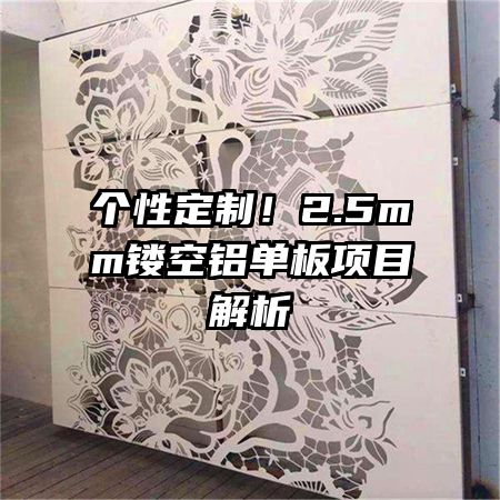 個性定制！2.5mm鏤空鋁單板項(xiàng)目解析