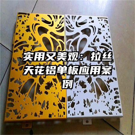 實(shí)用又美觀：拉絲天花鋁單板應(yīng)用案例