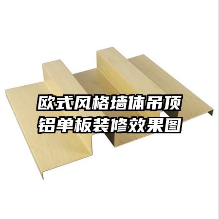 歐式風格墻體吊頂鋁單板裝修效果圖